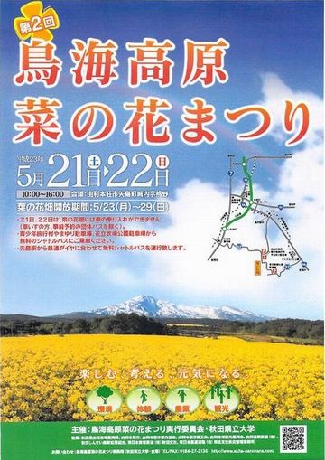 第2回菜の花まつりポスター360.jpg
