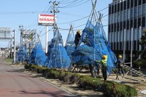 IMG_0459r.jpg