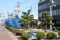 IMG_0462r.jpg