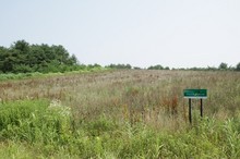 IMG_8281r.jpg
