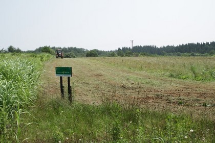 IMG_8285r.jpg
