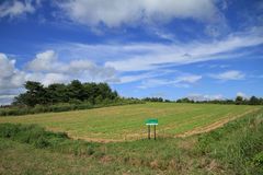 IMG_8312r46.jpg