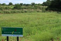 IMG_8701r46.jpg