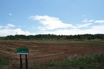 IMG_8736r46.jpg