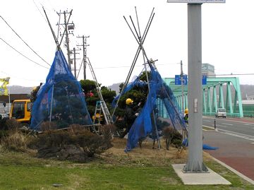 P1010009-360s.jpg