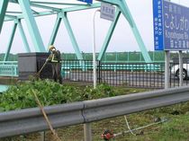 P1010018r46.jpg