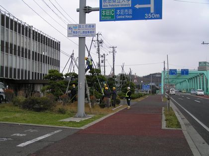 P1010030r420.jpg