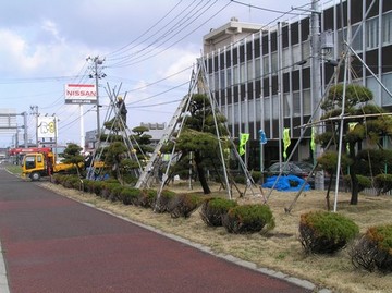 P4100004r46.jpg