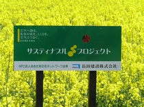 P5310010t64.jpg