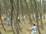P6090463-360.jpg