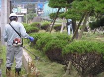 P8100030r46.jpg