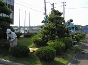 P8110006tt46.jpg