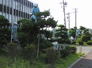 P8110011tr46.jpg
