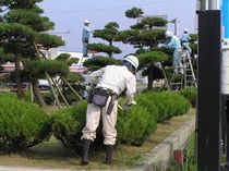 P8120017r46.jpg