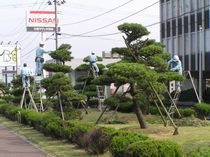 P8120019r46.jpg