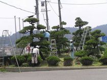 P8120021r46.jpg