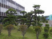 P8160012r46.jpg
