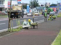 P8200021r46.jpg