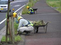 P8200022r46.jpg