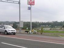 P8200024tr46.jpg