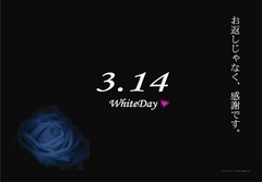 white day 6r.jpg