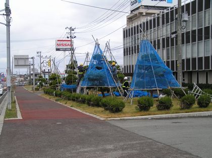 P1010033r420.jpg