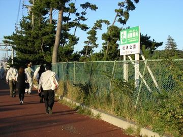 P1010148-460.jpg